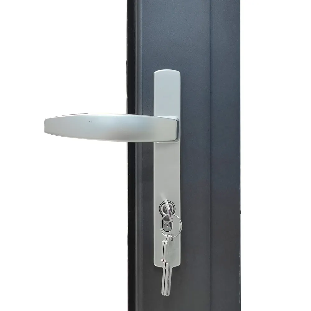 Aluminum-Double-Swing-Door-2